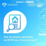 Как получить выписку из ЕГРН, не выходя из дома? 