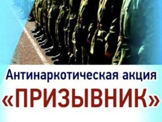 Стартовал второй этап Общероссийской антинаркотической акции «Призывник»
