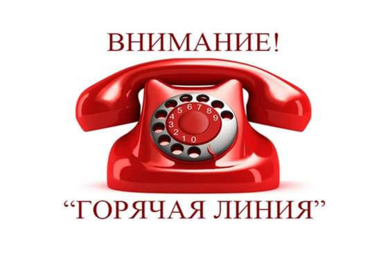 Горячая телефонная линия