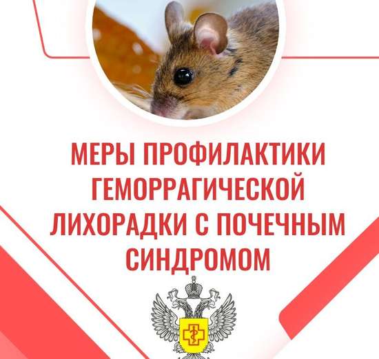 Напоминаем о мерах профилактики геморрагической лихорадки с почечным синдромом