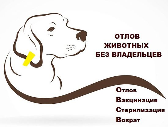 График проведения мероприятий по отлову животных без владельцев на территории Романовского муниципального района Саратовской области на III квартал 2026 года