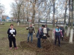 Работники культуры провели субботник по благоустройству территории  центрального парка в р.п. Романовка