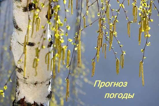 Оперативный ежедневный прогноз возможного возникновения и развития чрезвычайных ситуаций на территории Саратовской области на 12 апреля 2025