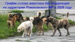 График проведения мероприятий по отлову животных без владельцев на территории Романовского муниципального района Саратовской области на IV квартал 2026 года.