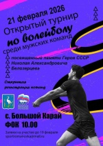 Открытый турнир по волейболу 