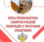 Напоминаем о мерах профилактики геморрагической лихорадки с почечным синдромом