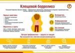 «5 вопросов о клещевом боррелиозе»