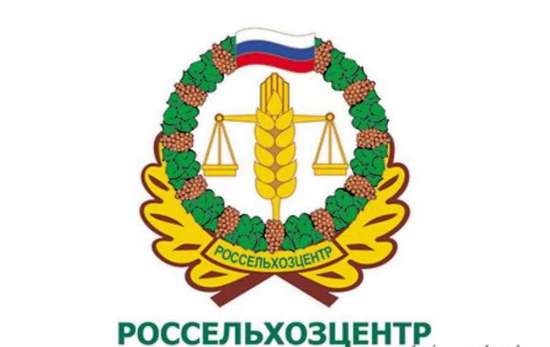 Всё, что нужно знать о проверке семян и ФГИС «Семеноводство» 