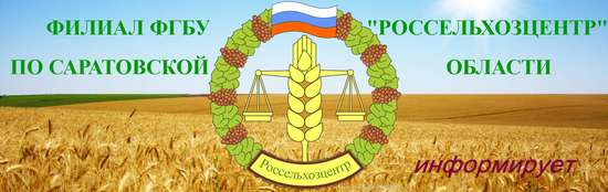 ГОСУДАРСТВЕННОЕ ЗАДАНИЕ