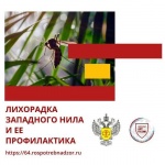 О мерах профилактики лихорадки Западного Нила