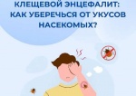   Как защитить себя от клещевого энцефалита!