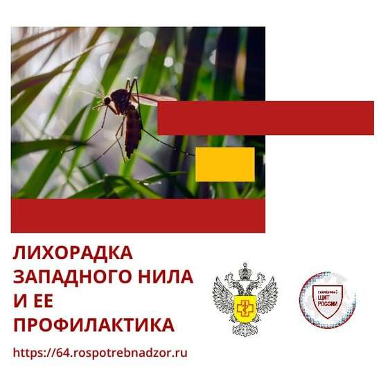 О мерах профилактики лихорадки Западного Нила