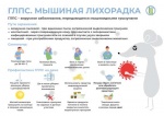 О профилактике геморрагической лихорадки с почечным синдромом!