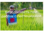 Безопасность при использовании пестицидов