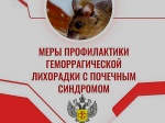О профилактике геморрагической лихорадки с почечным синдромом!